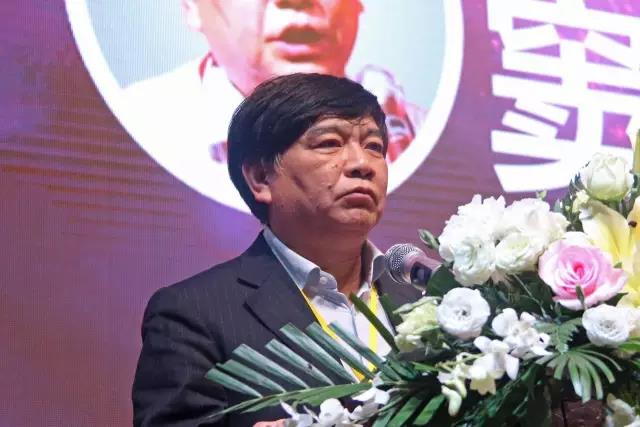 中國炤(zhao)明學會祕書長竇林平(ping).jpg